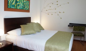 Habitación Individual Estándar